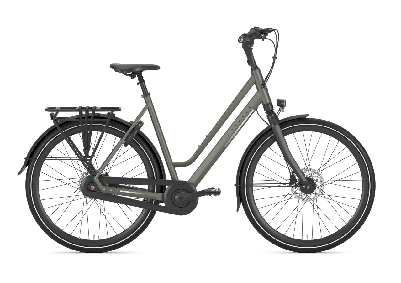 Gazelle Chamonix C8 Dames