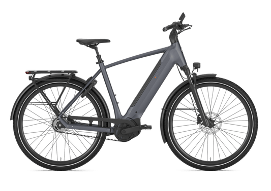 Gazelle Ultimate C5+ Heren