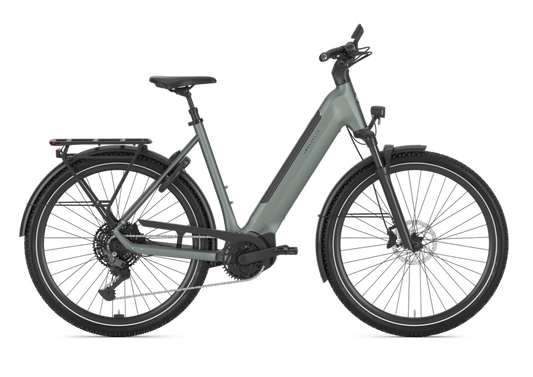 Gazelle Ultimate T11 Dames