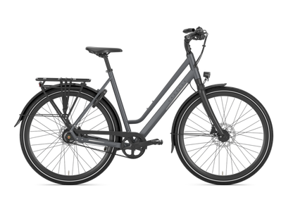 Gazelle Chamonix S11 Dames