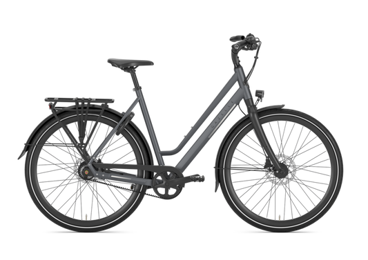 Gazelle Chamonix S11 Dames