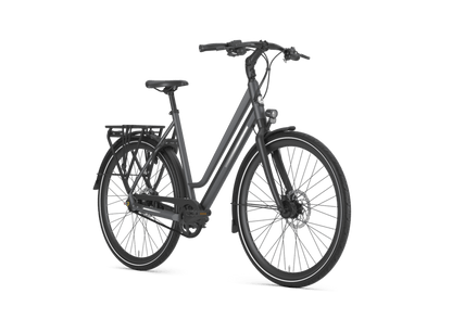 Gazelle Chamonix S11 Dames