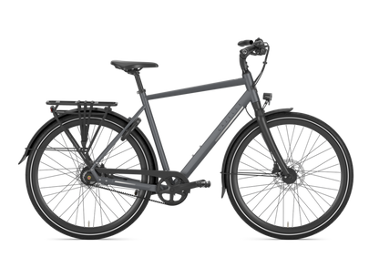 Gazelle Chamonix S11 Heren