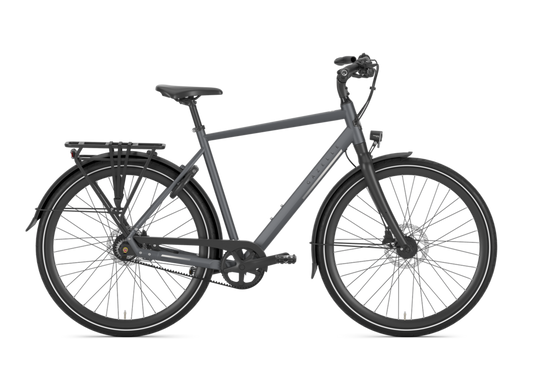 Gazelle Chamonix S11 Heren