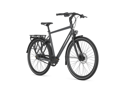 Gazelle Chamonix S11 Heren