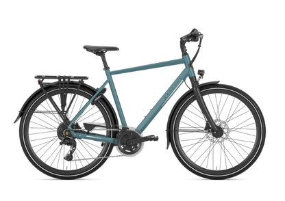 Gazelle Chamonix T20 Heren