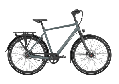 Gazelle Chamonix S8 Heren