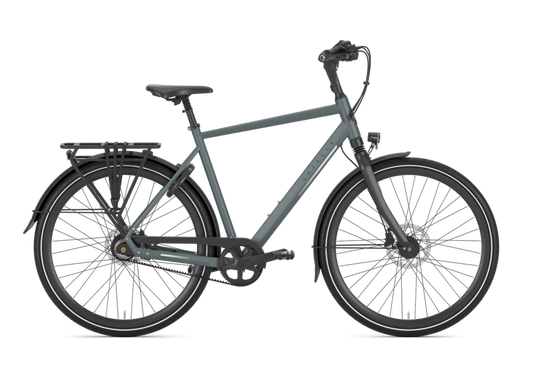 Gazelle Chamonix S8 Heren