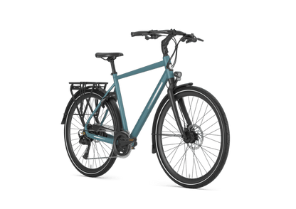 Gazelle Chamonix T20 Heren